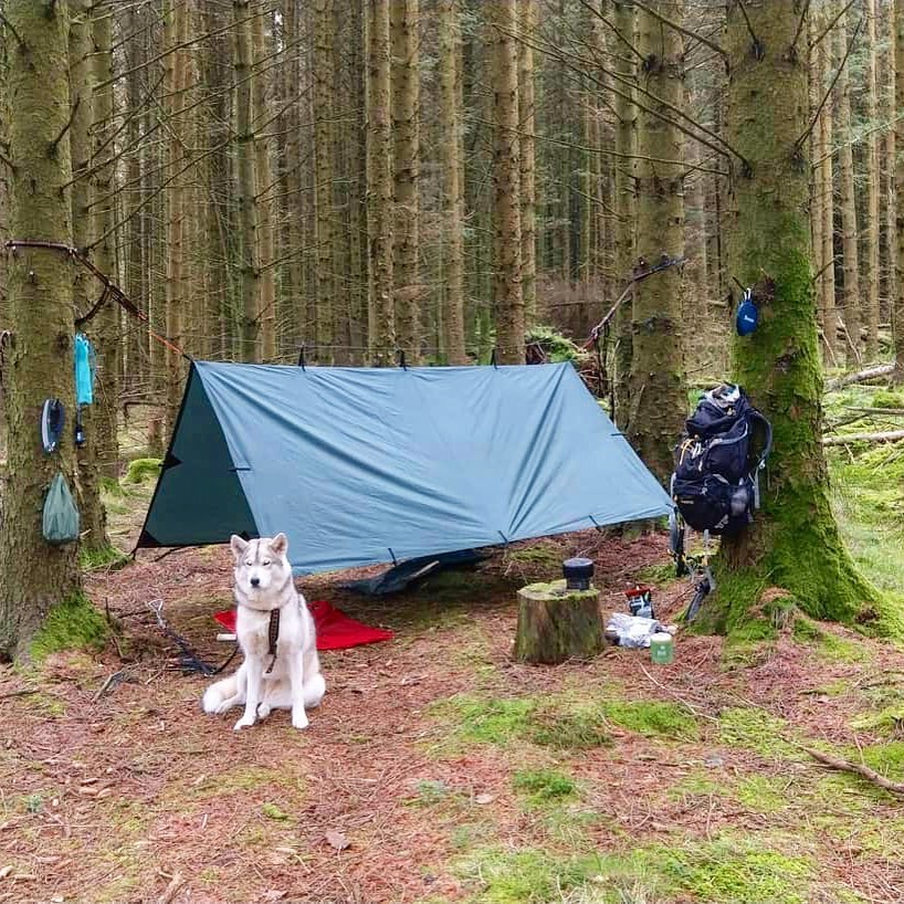 DD_Hammocks's tweet image. outdoorzy by name, outdoorsy by nature

#outdoorpeople
#wildcamping
#tarpcamping
#ddhammocks
#ddtarps
#doglovers 
#forest
#grounddweller
#nature