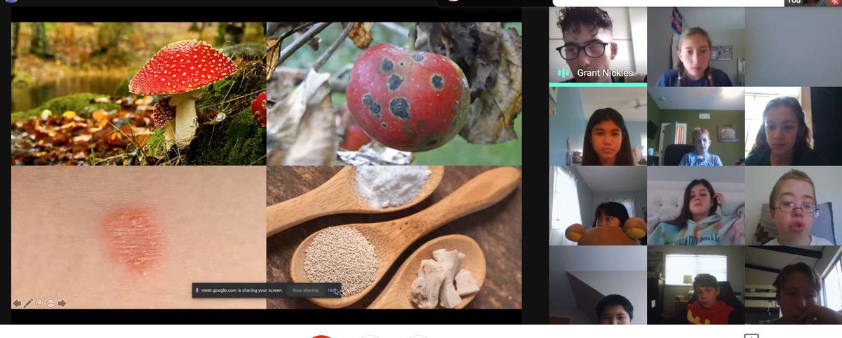 KlostermanMegan's tweet image. 6th grade BVA students had the pleasure of having a guest speaker today! Grant is getting his PhD in Cellular and Molecular biology and shared his awesome fungi with us! #futurescientists  #ihpromise @IHMiddle @BraveVirtual