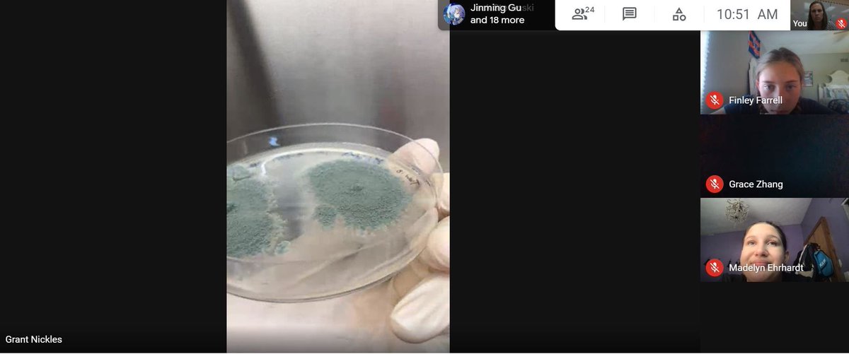 Megan Klosterman (@klostermanmegan) on Twitter photo 6th grade BVA students had the pleasure of having a guest speaker today! Grant is getting his PhD in Cellular and Molecular biology and shared his awesome fungi with us! #futurescientists #ihpromise <a href="/IHMiddle/">Indian Hill MS</a> <a href="/BraveVirtual/">BraveVirtualAcademy</a> 6th grade BVA students had the pleasure of having a guest speaker today! Grant is getting his PhD in Cellular and Molecular biology and shared his awesome fungi with us! #futurescientists #ihpromise <a href="/IHMiddle/">Indian Hill MS</a> <a href="/BraveVirtual/">BraveVirtualAcademy</a>