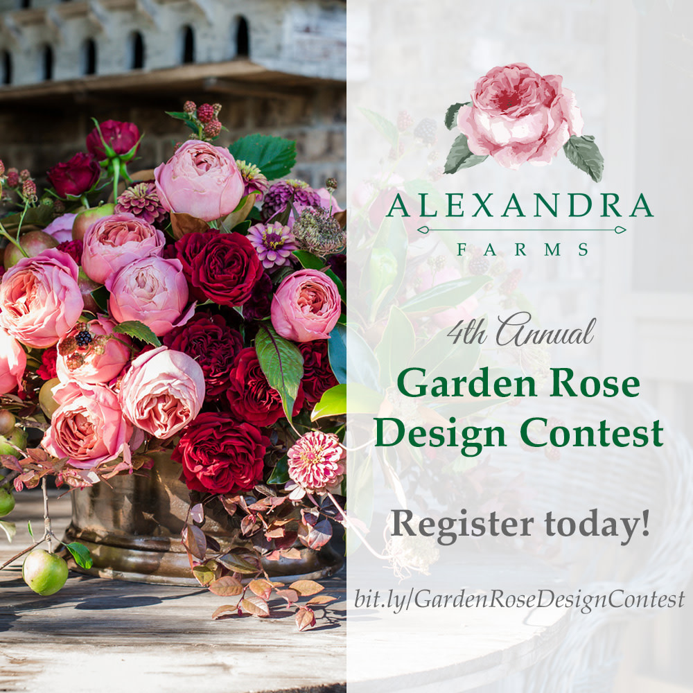 Have you registered for our Garden Rose Design Contest yet? We want to see your best floral work! This year we're awarding prizes to more winners than ever before! The contest closes on June 15. bit.ly/GardenRoseDesi… #gardenrosedesigncontest #gardenroses #roses #flowers