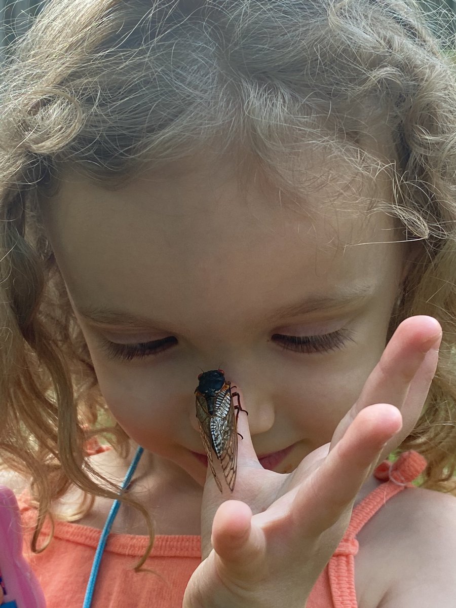 Christine Sweigart tweet media