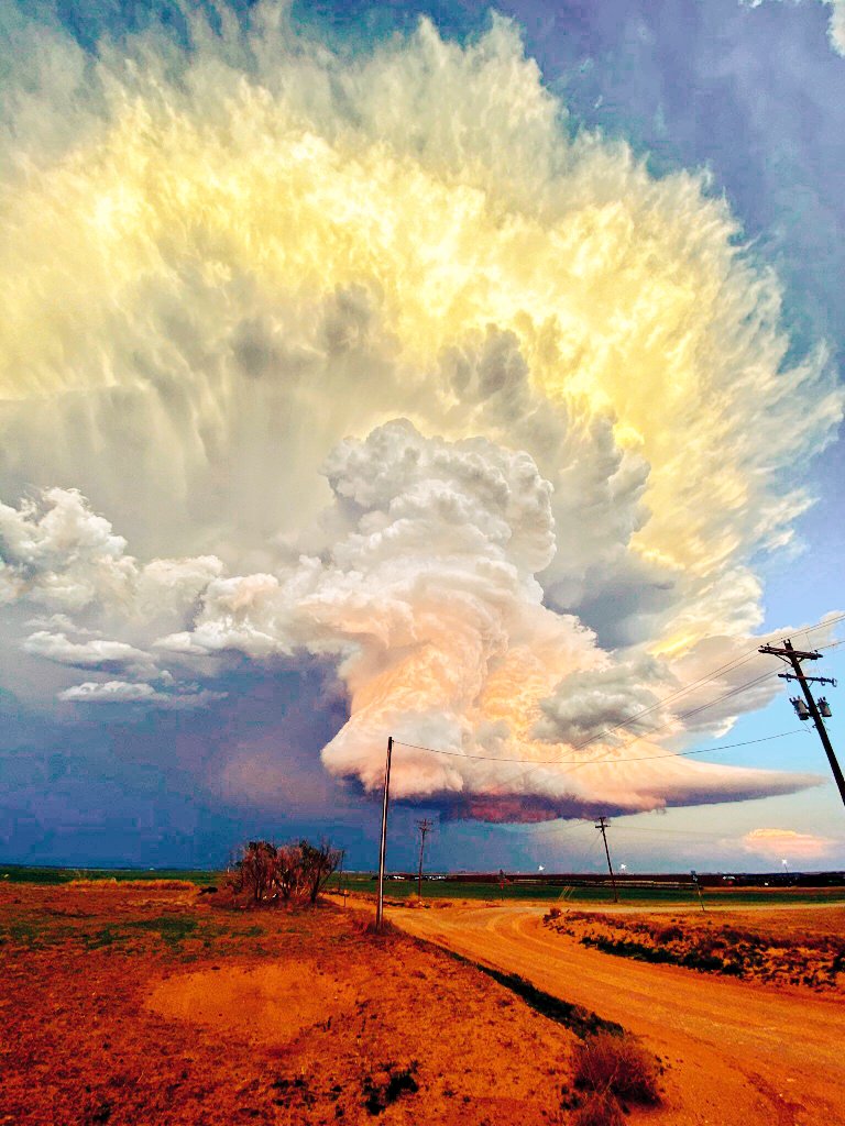 ☆ María ☆ tweet media