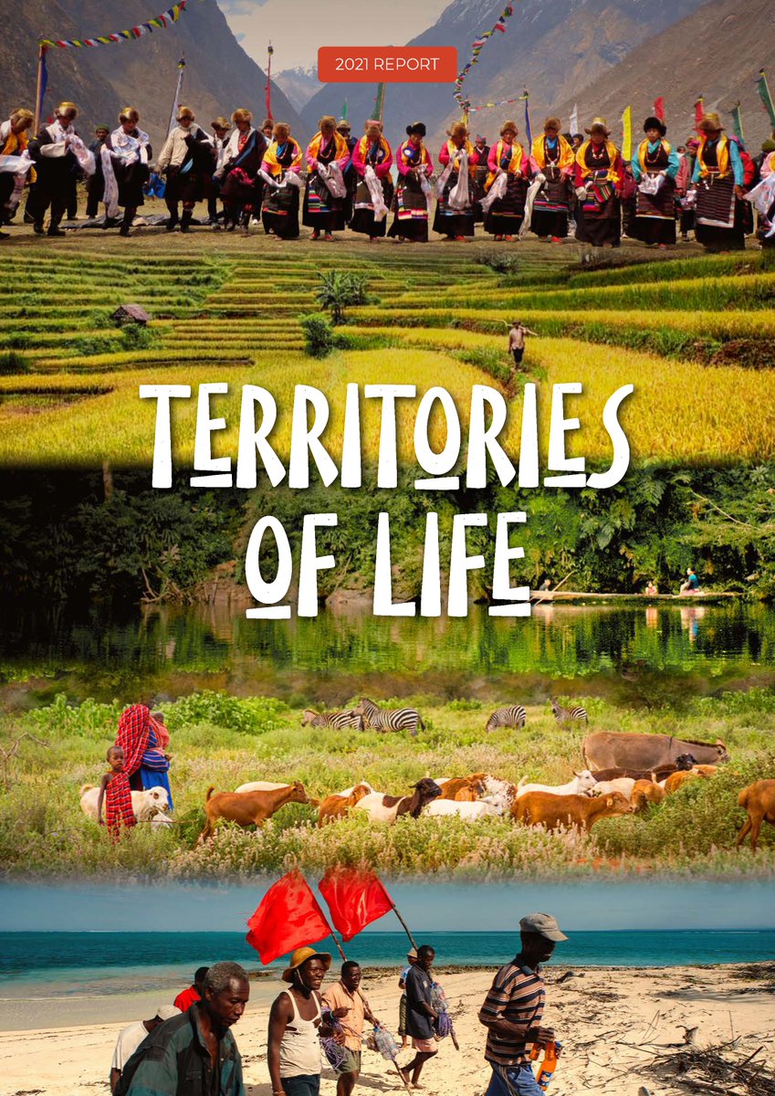 Out now: NEW global report on Indigenous peoples' and local communities' #TerritoriesOfLife 🔗report.territoriesoflife.org

The report underscores #IndigenousPeoples’ and local communities’ rights as the biggest opportunity to address #biodiversity and #climate crises.

#ForNature
