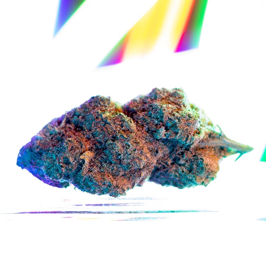 GetKushCa's tweet photo. Fairly potent and popularly known for its hazy effects, the Space Queen promises not to overwhelm you -- giving you the right kind of euphoric high. When smoked, it releases an irresistible fruity aroma with notes of pineapple, earthy, and citrus. https://t.co/xGFReQ0Wkl
