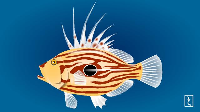 とみいち おはようございます 今日の魚 マトウダイ 一日一絵 ダイビング 釣り 的鯛 馬頭鯛 鯛ではないけど鯛人気に あやかりたい 魚代表 フランス料理ではサン ピエール 聖ペテロの魚と呼ばれるとっても美味しい魚 つづく とみいち おはようございます 今日の魚 マトウダイ 一日一絵 ダイビング 釣り 的鯛 馬頭鯛 鯛ではないけど鯛人気に あやかりたい 魚代表 フランス料理ではサン ピエール 聖ペテロの魚と呼ばれるとっても美味しい魚 つづく