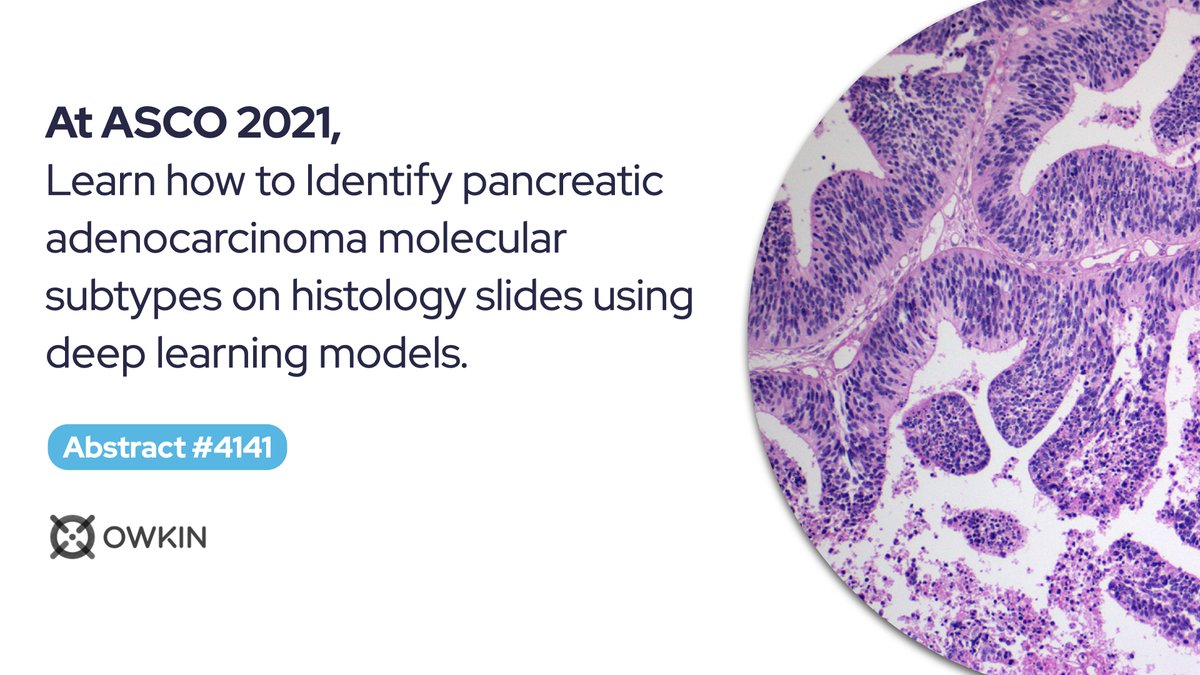 #ASCO21 alert: We’re thrilled to share that our team is presenting findings on our #DeepLearning model that identifies molecular subtypes in Pancreatic #Cancer from histology slides. Visit the virtual poster session at meetinglibrary.asco.org/record/198951/… starting June 4th