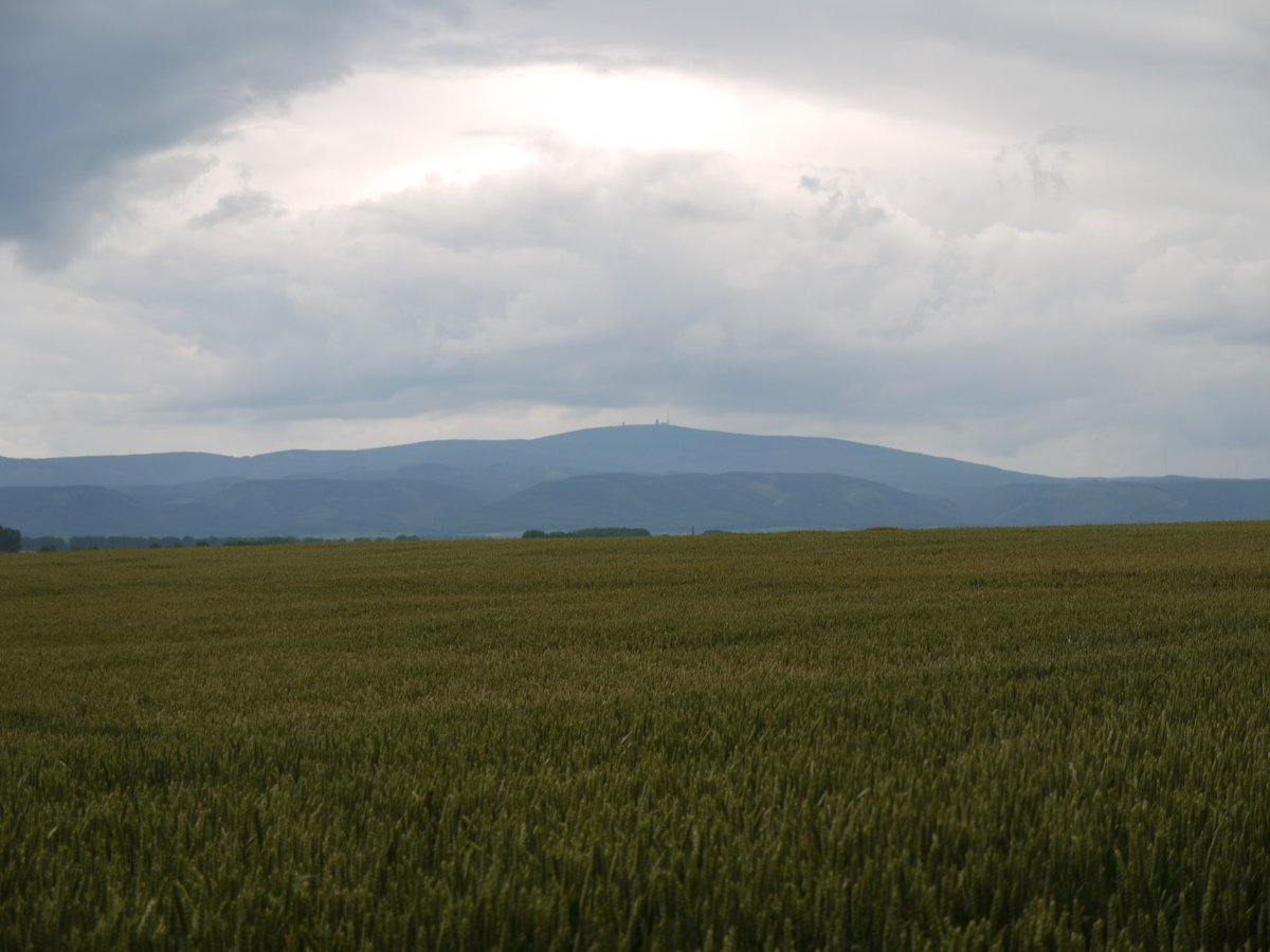 SFB806_CRC806's tweet photo. #ToThisDay 7 years ago #CRC_D1 team members Lydia Krauß, Joerg Zens, and Christian Zeeden sampled #loess at Zilly, in the Harz region, Germany #TeamLoess. Check out their papers at https://t.co/Xsq9xaMdO2, https://t.co/SdweYHV0If https://t.co/oXPAoDoq9Y