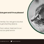Photo by The Veterinary Content Company (@vetcontent)