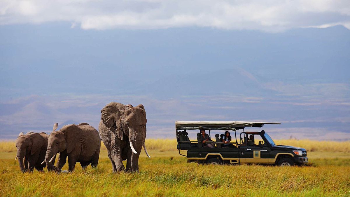 Participate in a self-guided safari, you can visit the wine region, the fruit region of Ceres and then a two-hour safari awaits you where you can see giraffes, lions ... you will be treated to a good lunch in the restaurant Boma and you can relax by the pool or the path.

#safari