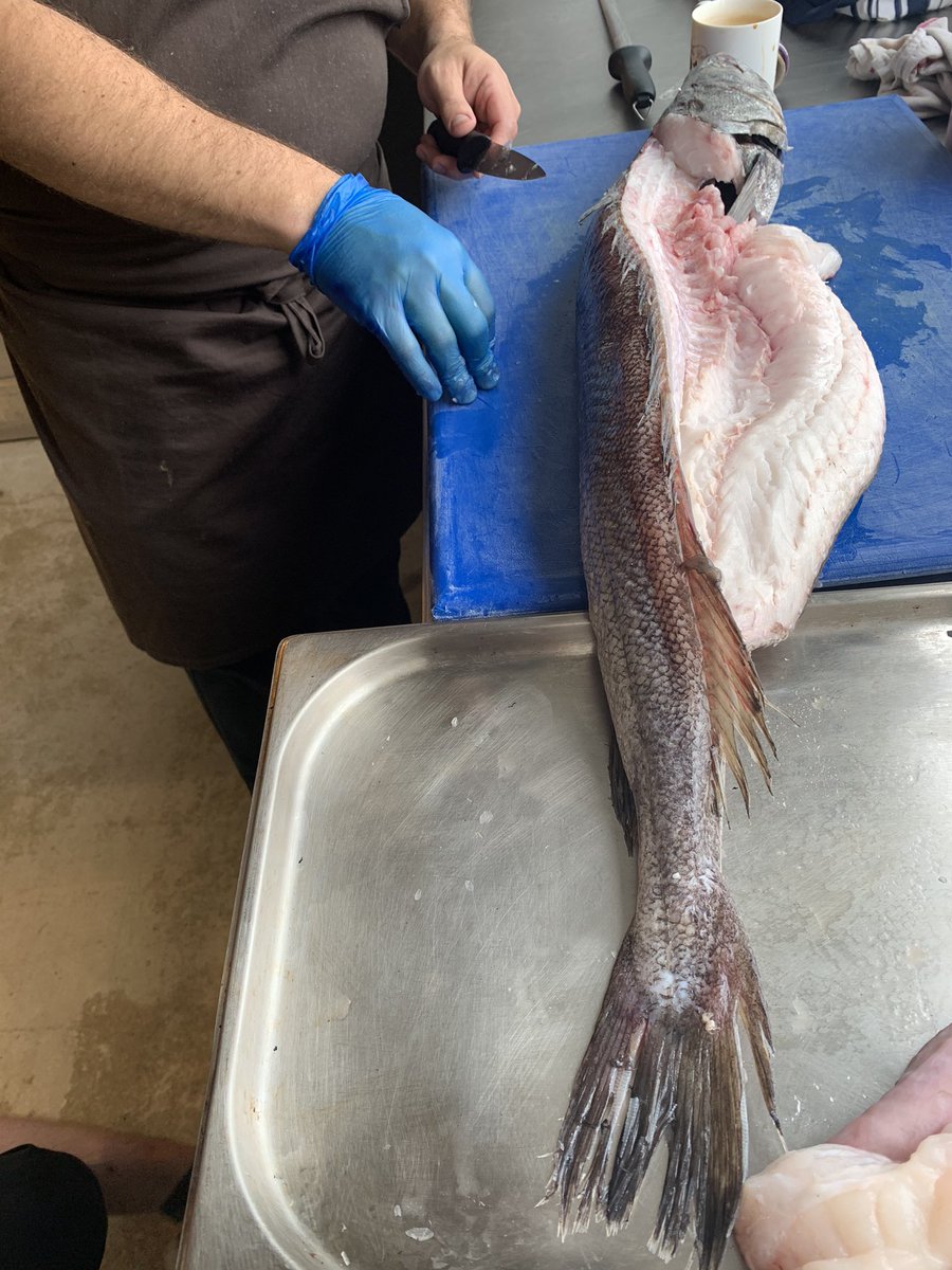 Lovely hake delivered from @Ashtonscardiff ready for service #local #qualityingredients #fresh