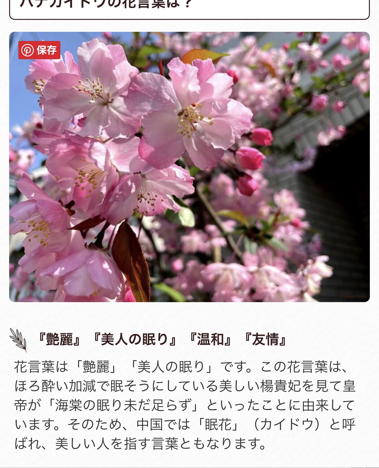 君 花海棠の紅にあらず 荒ぶる100ツイート Twitter