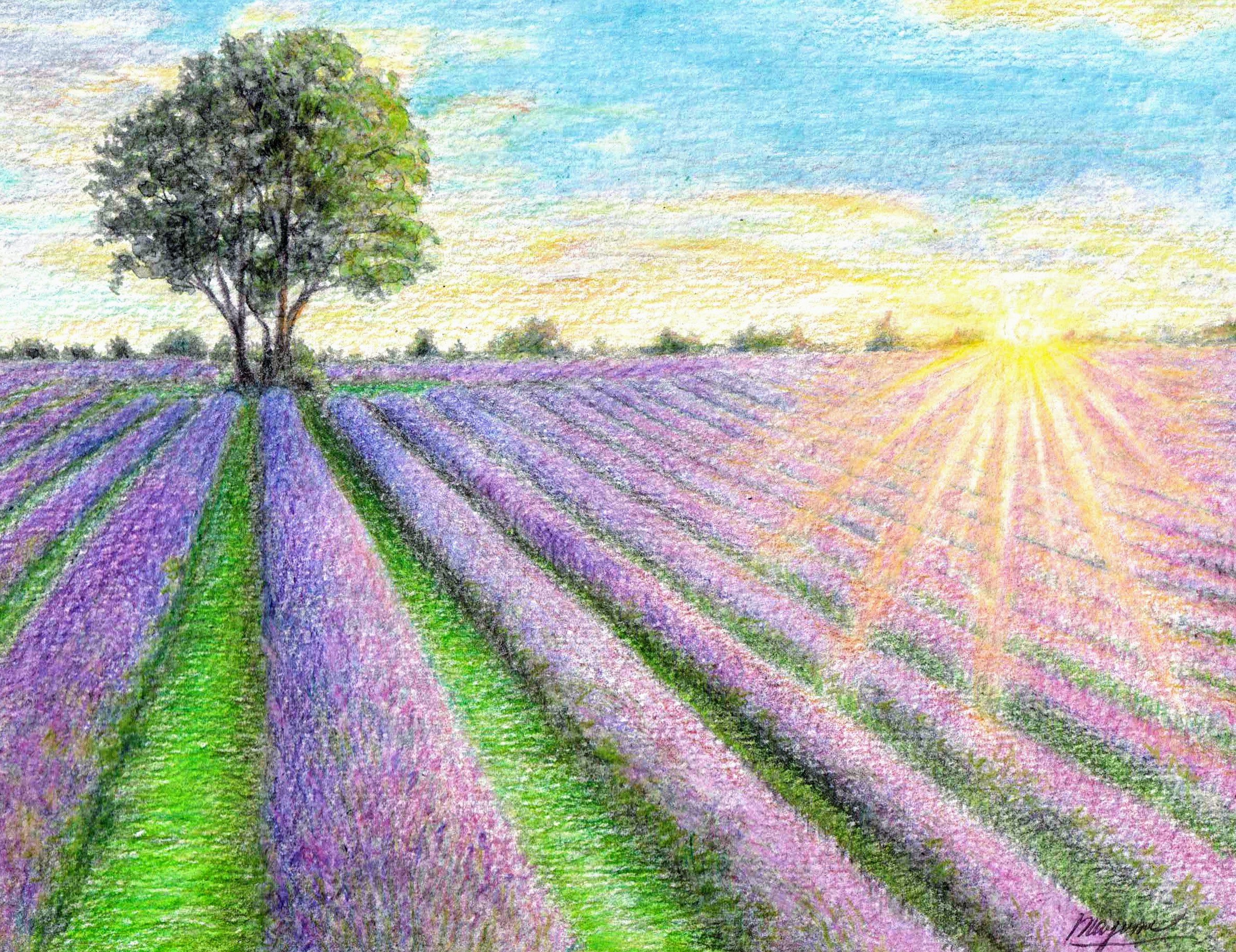 海外並行輸入正規品 絵画 水彩画 ラベンダー 絵画 タペストリ News Elegantsite Gr