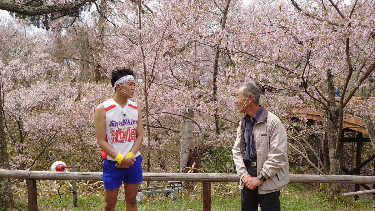 LtdToken's tweet photo. 【蔵出し写真】
WoW! Ho! TVロケの１コマ。
桜満開の季節でした🌸
#wowhotv 
#サンシャイン池崎 さん
#ローメン https://t.co/H81YCnJxPL