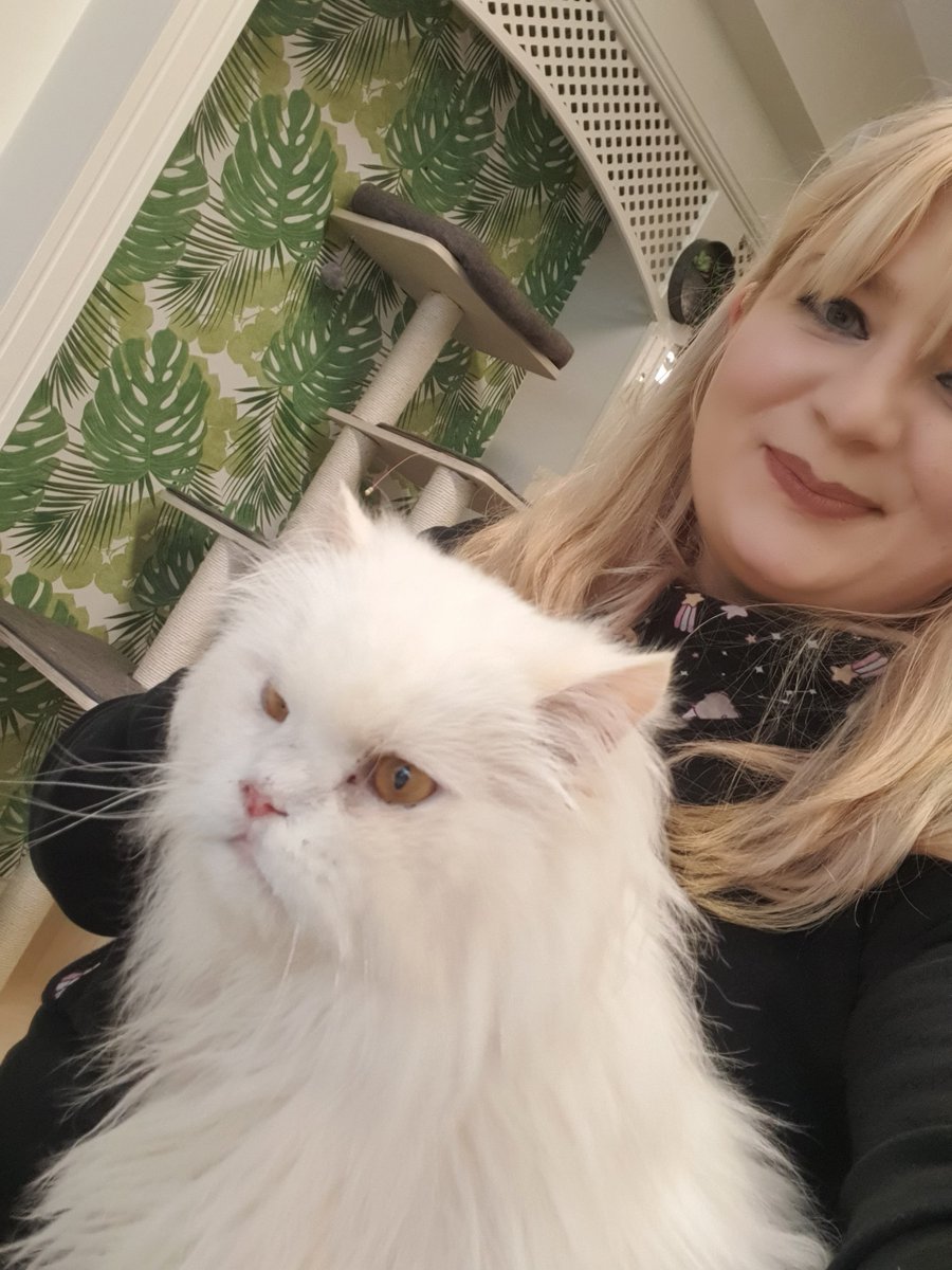 person_split's tweet image. Adventures today at the Bedford Kitty Cafe 🥰😍 so many cute rescued kitties &amp;lt;3

I'm gonna play some Monkey Island tonight when I get home &amp;lt;3 see you all tonight for some fun and games but for now - look at the cute kitties &amp;lt;3

buff.ly/2L6kjgr