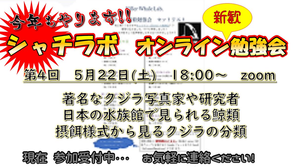 東京海洋大学 シャチラボ Killerwhalelab さん Twitter 東京海洋大学 シャチラボ Killerwhalelab さん Twitter