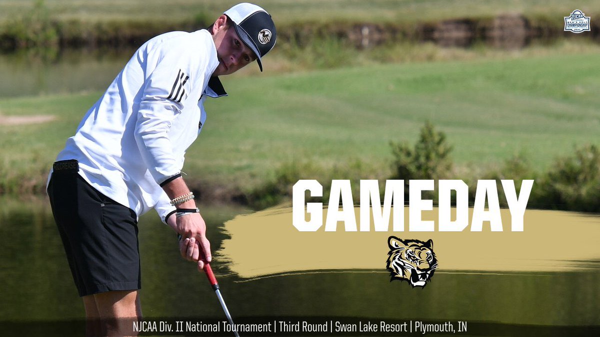 Northeast Tigers tweet media