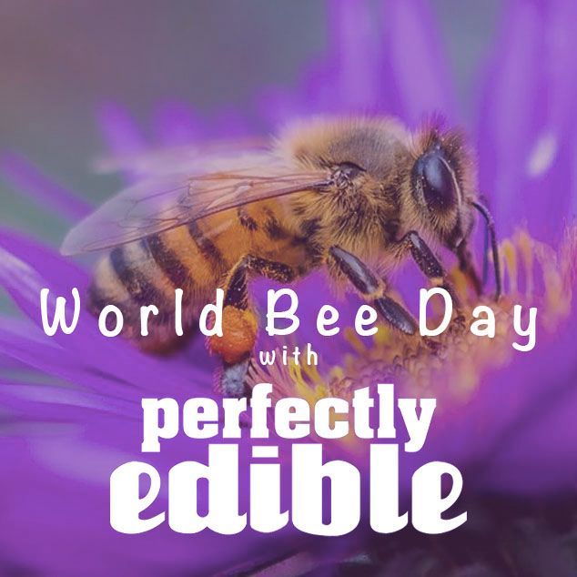 perfedibleuk's tweet photo. 🐝It's World Bee Day🐝

We know how important bees are to the planet. So let's give them some help by growing plants that they love and will provide nourishment &amp; rest as they search for pollen. Here are a few:
° Cornflower
° Chives
° Dandelions
° Geranium
° Oregano
° Sage https://t.co/XLUmZ0UumI
