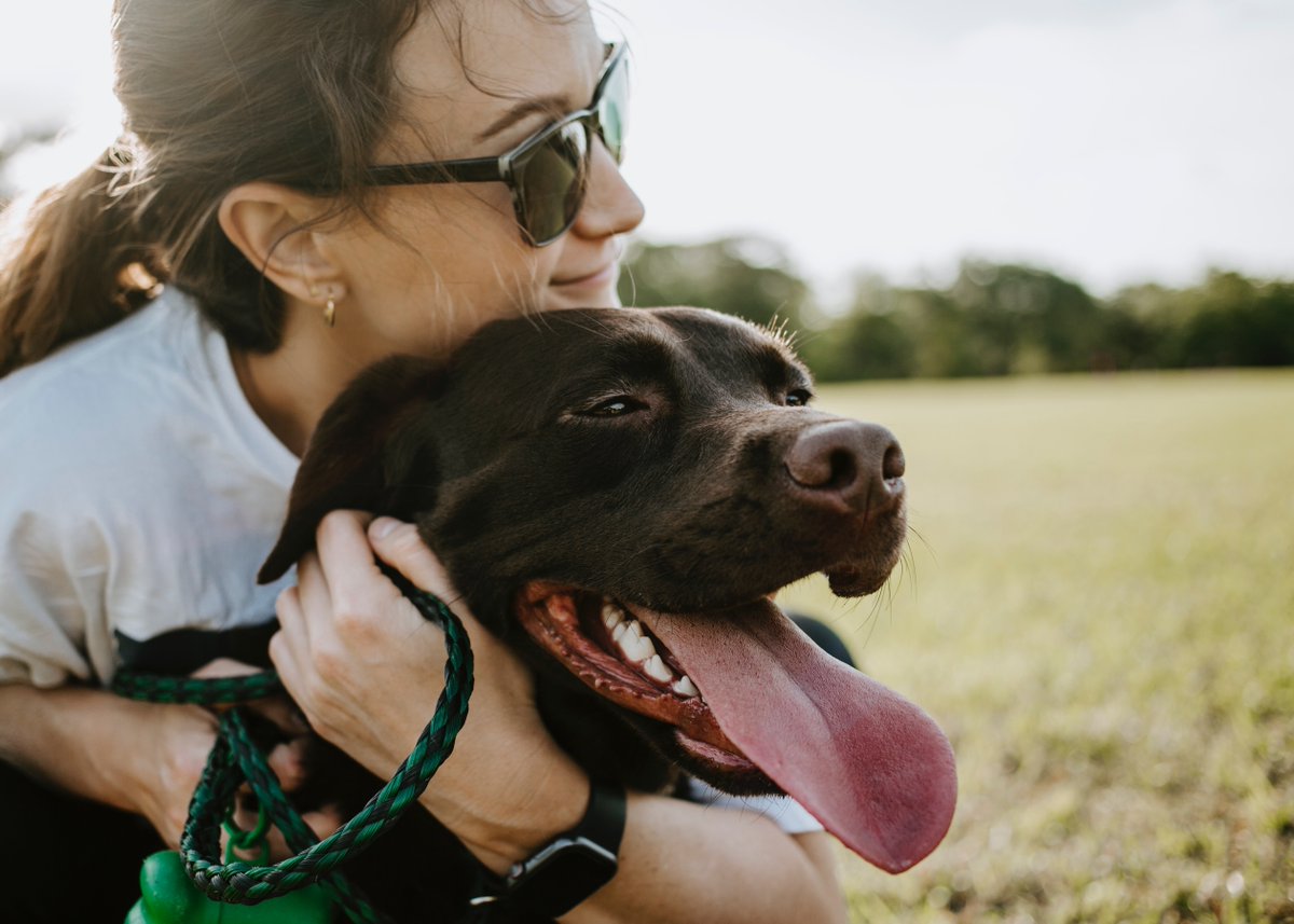 toss_ups's tweet photo. According to @ASPCA 1.6 million dogs are adopted a year into their FURever home.

To show awareness for all these dogs, we are giving away a Toss Ups™ sample pack. Head over to our Facebook page to enter. Happy #NationalRescueDogDay!

#RescueDog #DogContest #AdoptDontShop https://t.co/2RPIB1Azc8