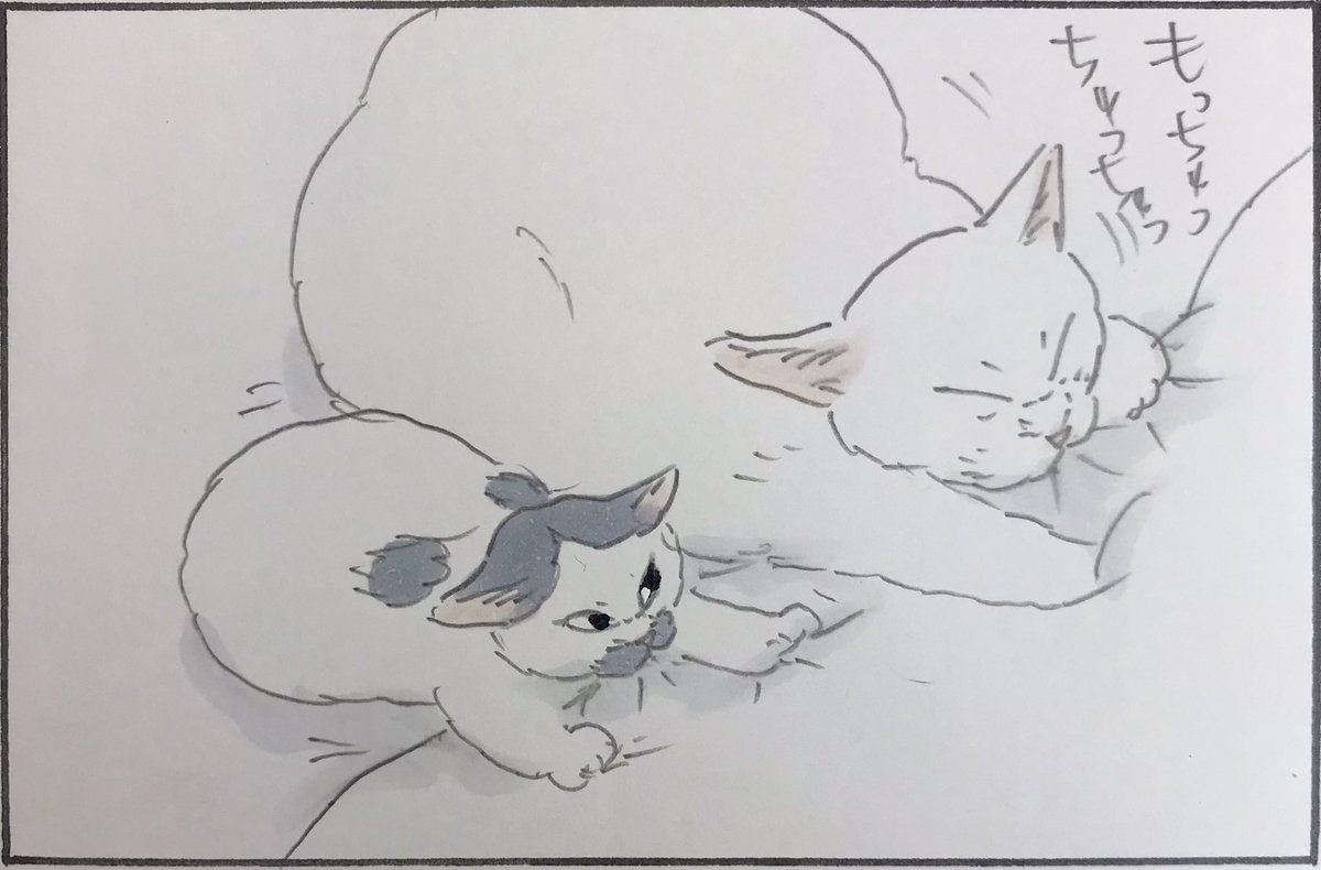 おふとんチュッチュ おふとんチュッチュ