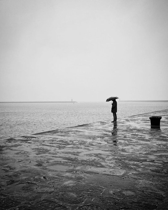 literlandweb1's tweet image. "La realidad es aquello que, incluso aunque dejes de creer en ello, sigue existiendo y no desaparece".
Philip K. Dick