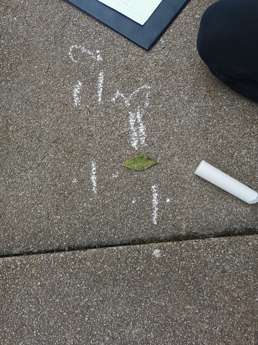 P4 took their Numeracy outside today for #outdoorlearningday! We practised our multiplication and division skills. Great fun!