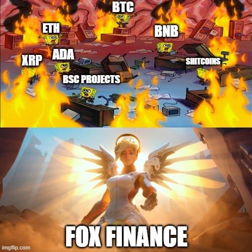 foxfinancebsc's tweet photo. 🦊🦊🦊
We still love to see your memes #FOXES!
❤️
Credit: @X_cryptoXx
$FOX #FoxFinance #FOX #FOXAMA https://t.co/NcDy1InhoY