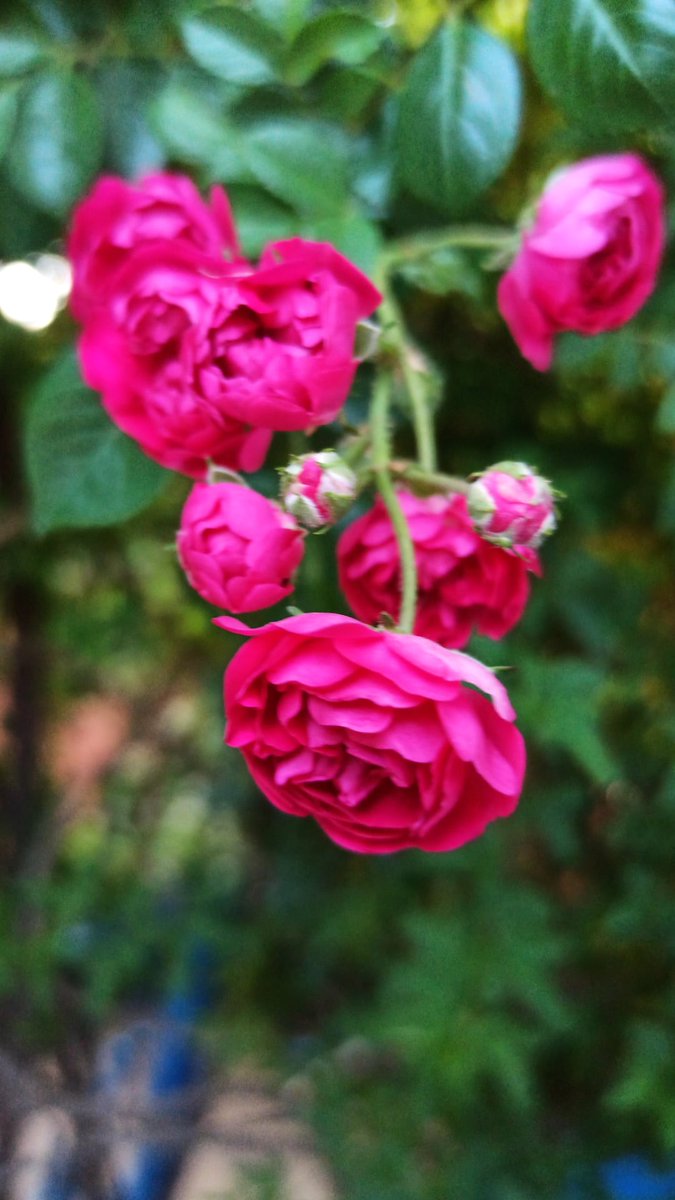 "Kimi kez yaşamak için, intihar etmekten daha çok cesaret gerekiyor."

 #AlbertCamus