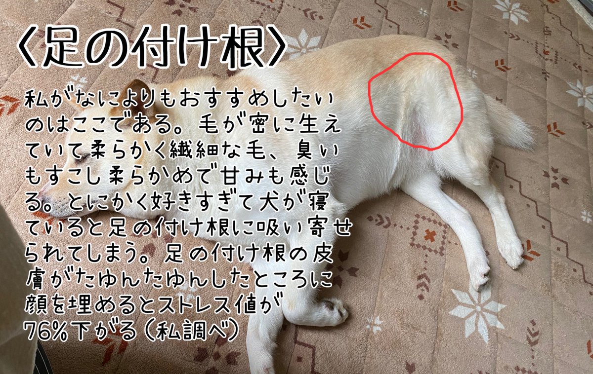 イド 0419masuo Twitter