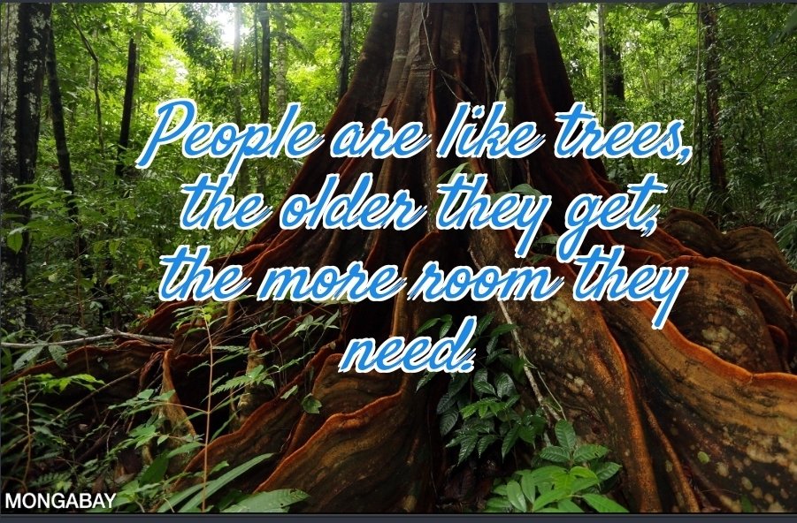 Kt_Stringer007's tweet image. 