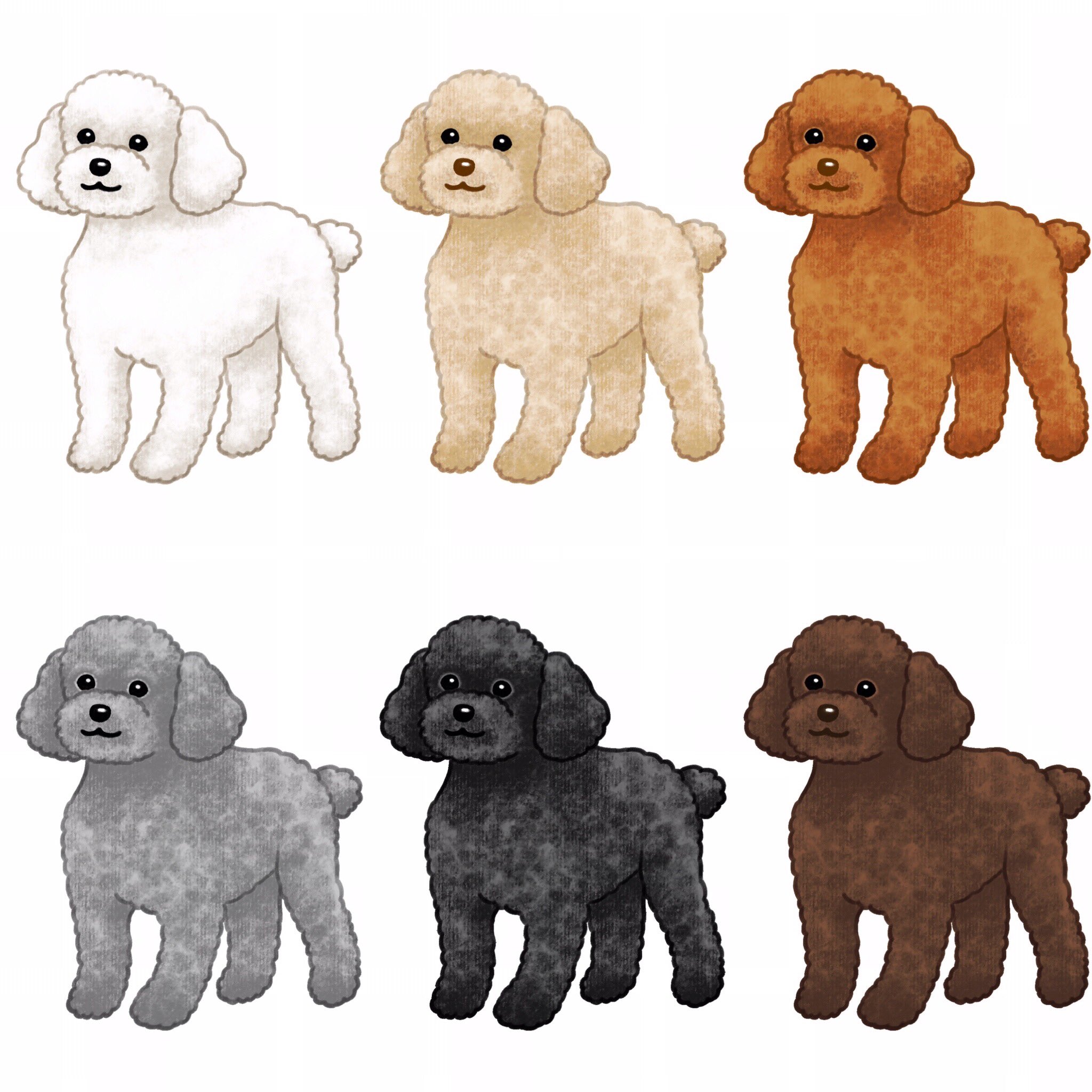 Chippoke ようこ 在 Twitter 上 犬絵 トイプードル それぞれ色を表現するのが難しかった イラスト デジタルイラスト 犬 イラスト 犬の絵 トイプー トイプードルホワイト トイプードルホワイト トイプードルアプリコット トイプードルレッド トイプードル