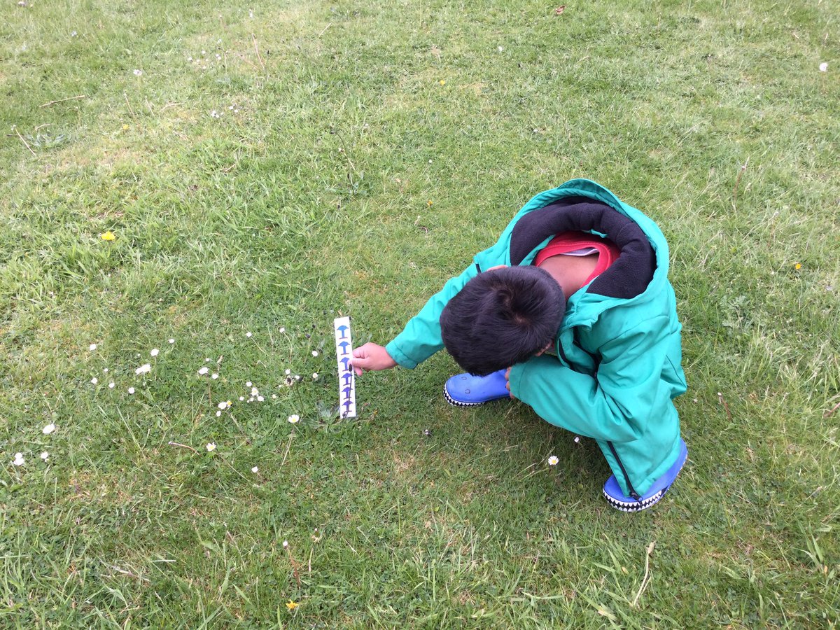 merseyvaleyearone tweet media