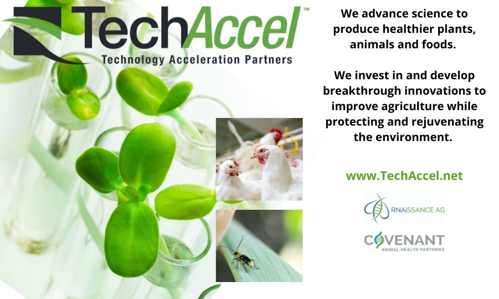 Tech_Accel's tweet photo. RU going to #Biobash 2021 @DanforthCenter 5/20-21? Look for us, let's talk #science #advancement #agtech & more at virtual job fair & networking . Explore science career paths with us! Register: https://t.co/xzxDG2uA7r #foodtech #RNAi #animalhealth https://t.co/3fDugNx9zS