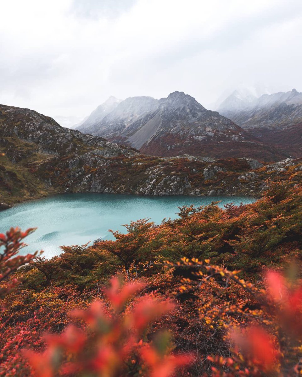 TripinArgentina's tweet photo. Los matecitos del buen día ! Con @jainnen.
.
“ ¿Quien más con ganas de un mate bien caliente en medio de la montaña? Crear contenido si que da gusto cuando @matespalocruz me acompaña en mis aventuras 🧉💙”.
.
#buendia #viajes #mates #ushuaia.
.
Tag #TripInArgentina https://t.co/o8BJfYHYIl