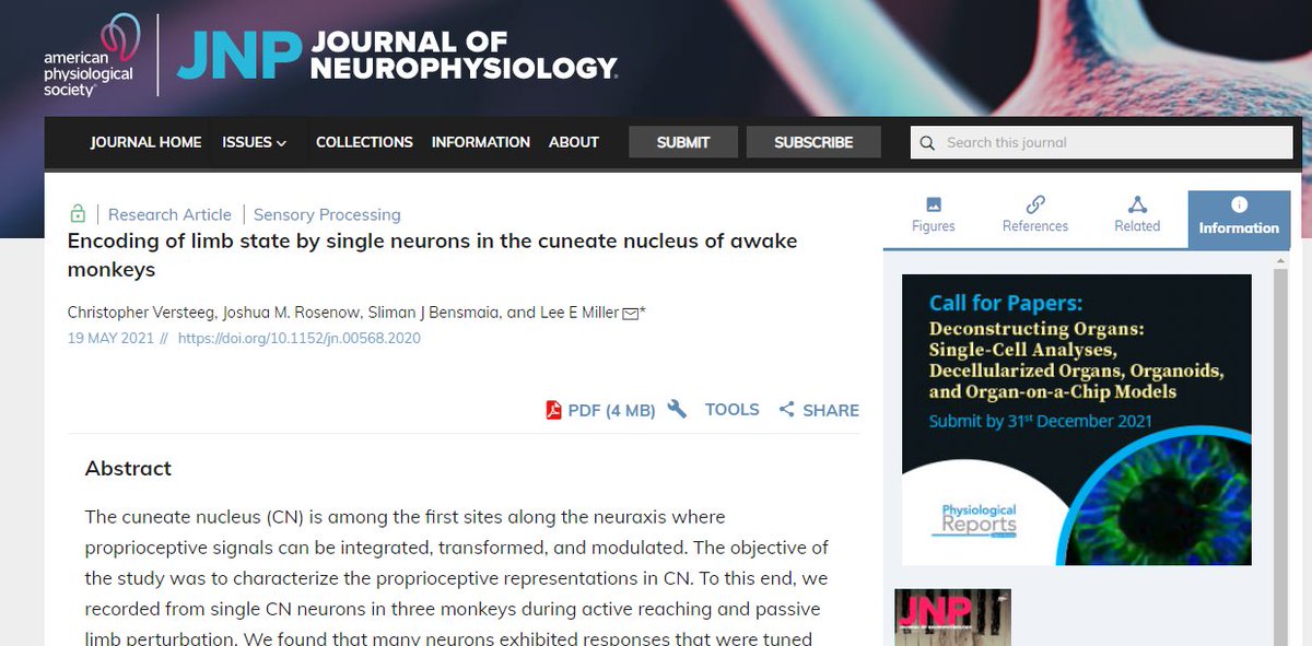 JNeurophysiol's tweet photo. #ArticlesInPress - "Encoding of limb state by single neurons in the cuneate nucleus of awake monkeys"
Christopher Versteeg, et al.
#SingleNeuron #Proprioception #Neuroscience
@PresNCM @slimanjbensmaia @joshuarosenowMD @NorthwesternU @UChicago
https://t.co/Ph21H1kkWD https://t.co/IrVRT1Glpk