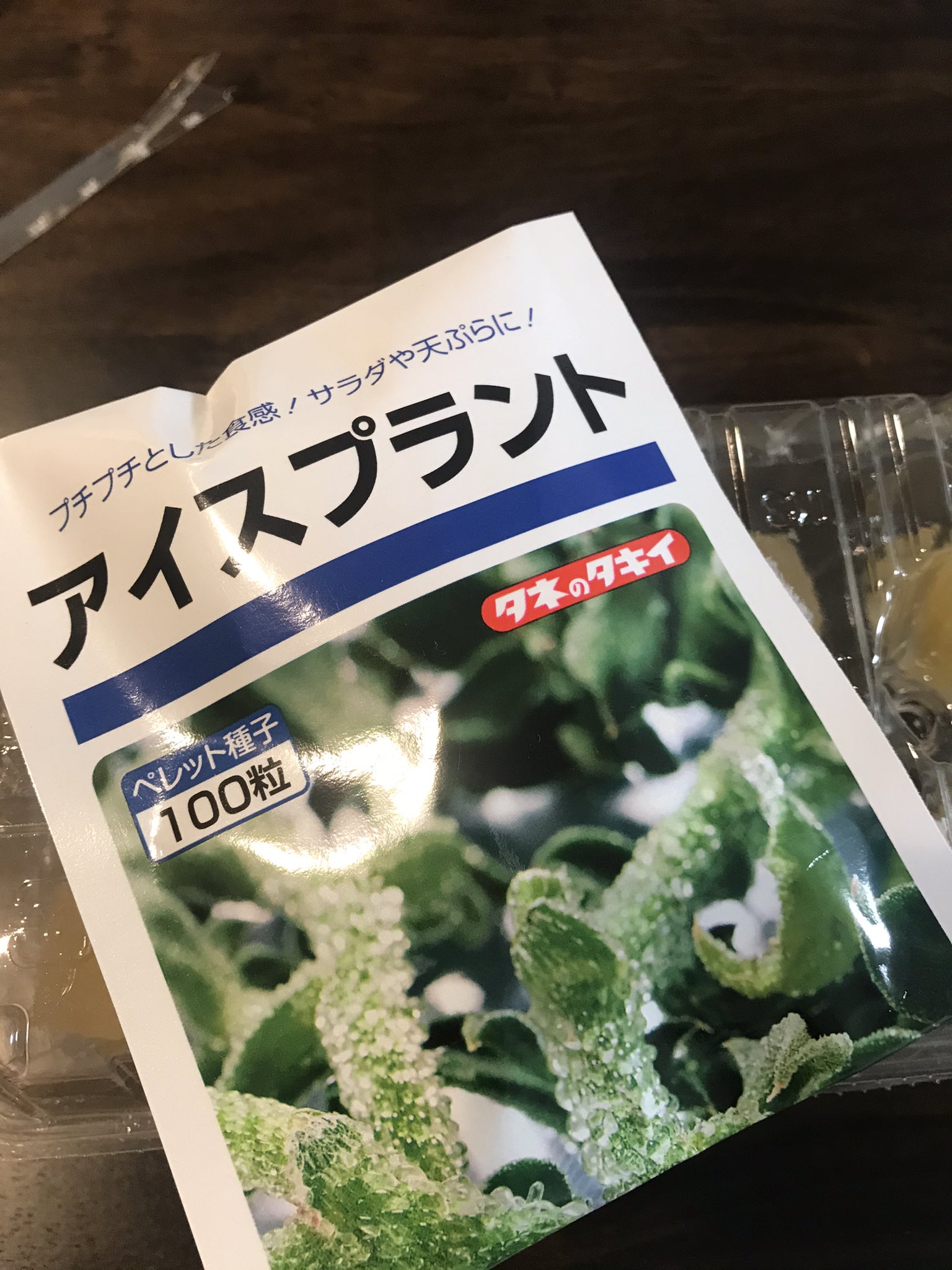 تويتر のな على تويتر アイスプラントが好きだけどスーパーになかなか売ってないから 育ててみることにした まずは育苗から開始 気温的にもう外では難しいと思うし塩水あげることになるから 室内で水耕栽培でやってみる予定 T Co Qwyeyvibef
