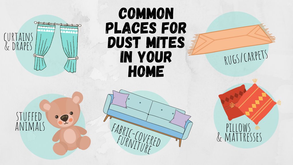 AlbanyMedCEHC's tweet photo. Dust mites are a common asthma trigger. Do you know where they may be hiding in your home, and how to get rid of them? 

Learn all about dust mites here: https://t.co/04xz9UXiQr

#AsthmaAwarenessMonth #Asthma https://t.co/BOcqHHwb7J