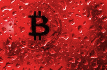 Crypto Crew University tweet media