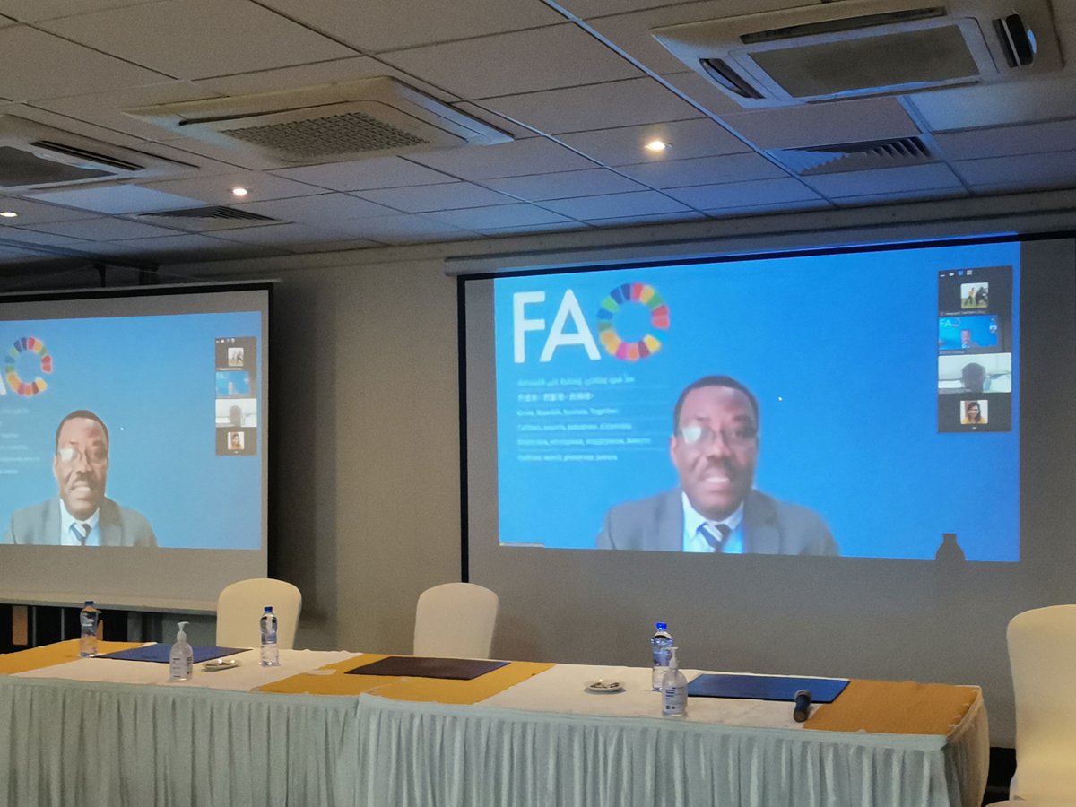 FAOGhana's tweet image. @FAOGhana calls on Government and other partners in the #Forest and #Farm sector to address the challenges posed by #COVID19 and #flooding to make life easy for sector players.