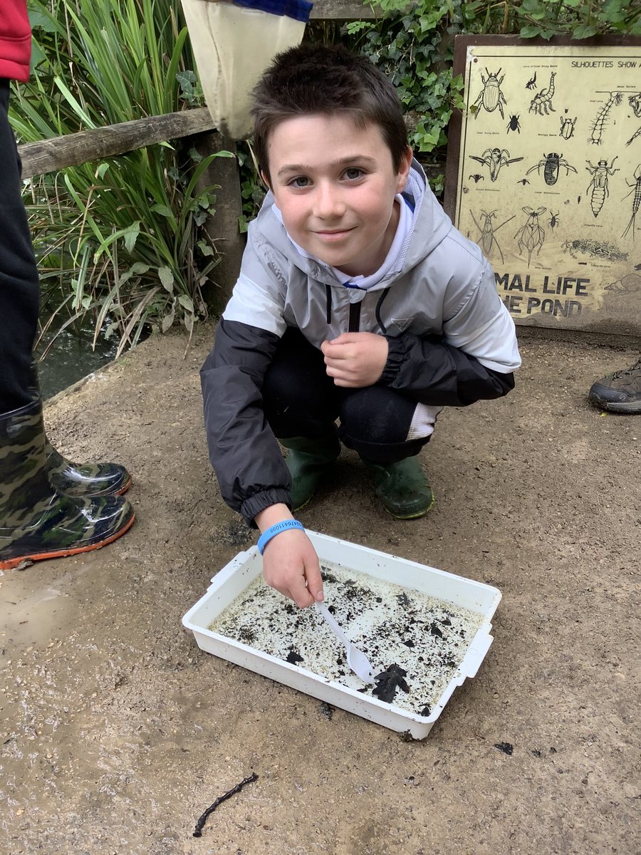 gfprimarycov's tweet photo. A few pictures from Year 4’s trip to Coombe Abbey earlier this week. The children had great fun measuring the river and pond dipping as part of this half terms topic. #GFY4 #GFGeography #coombeabbey https://t.co/BkonciNa9u
