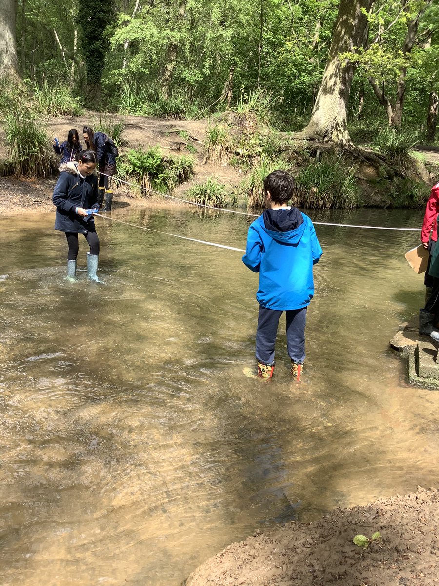 gfprimarycov's tweet photo. A few pictures from Year 4’s trip to Coombe Abbey earlier this week. The children had great fun measuring the river and pond dipping as part of this half terms topic. #GFY4 #GFGeography #coombeabbey https://t.co/BkonciNa9u