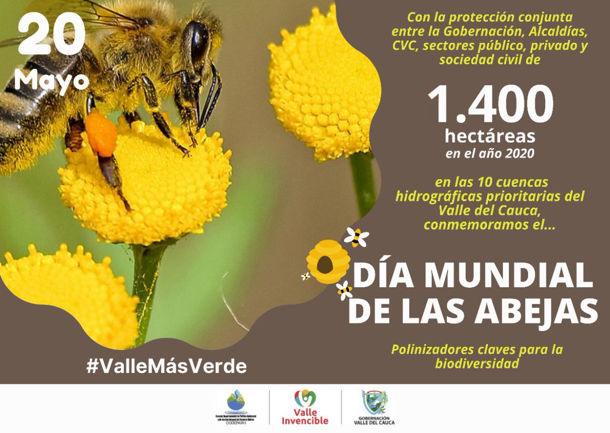 CODEPARH tweet media