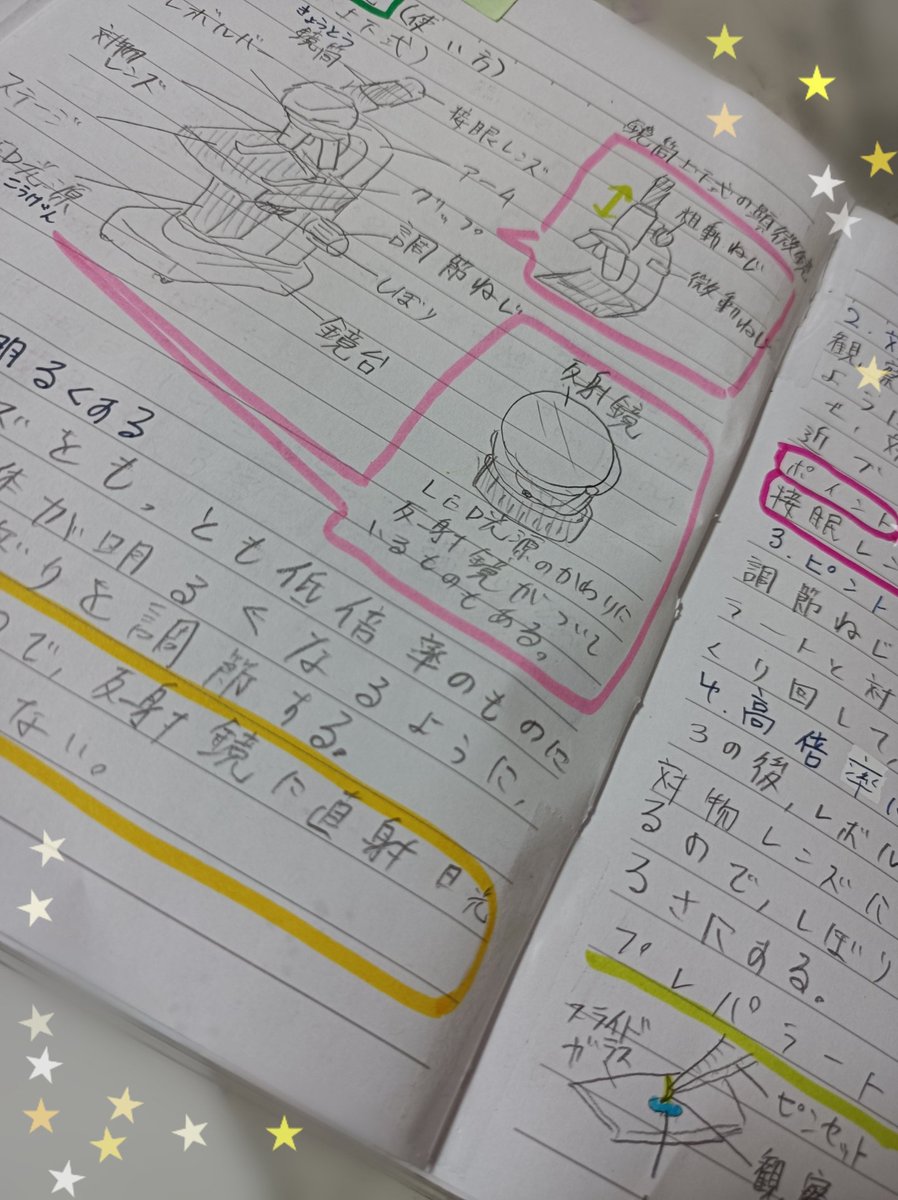 自主勉