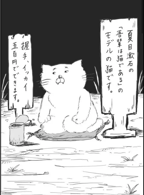 夏目漱石の墓石の横で荒稼ぎする猫 