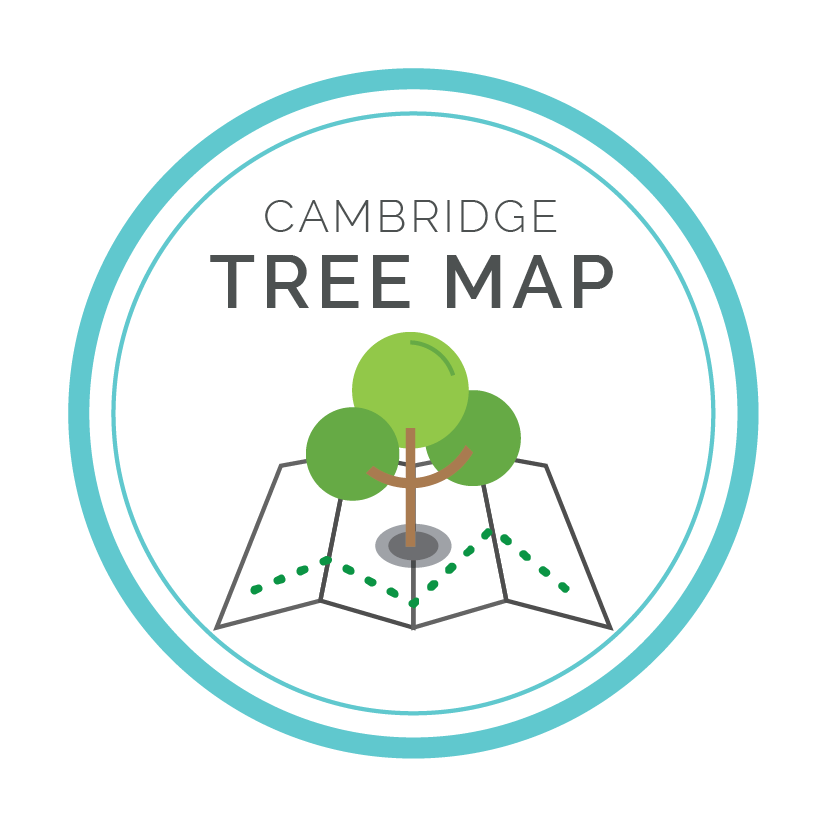 CamCanopyProj's tweet photo. Help us map #Cambridge's #Trees! Plot trees in your garden or other private land using the @Curioxyz app. A complete #CambridgeTreeMap of our #UrbanForest will help us to manage our trees better and quantify the #EcosystemServices they provide. Read more: https://t.co/Wl1zjkC2Mo https://t.co/BmGUy5kNfx