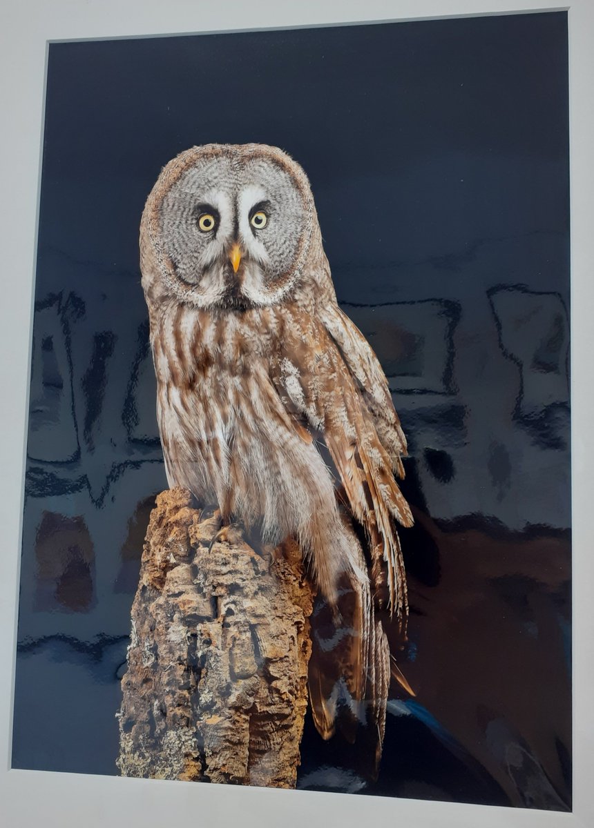 Beyond &amp; Above II, 11am - 3pm until 30th May at the Crypt Gallery, Seaford BN25 1HD.