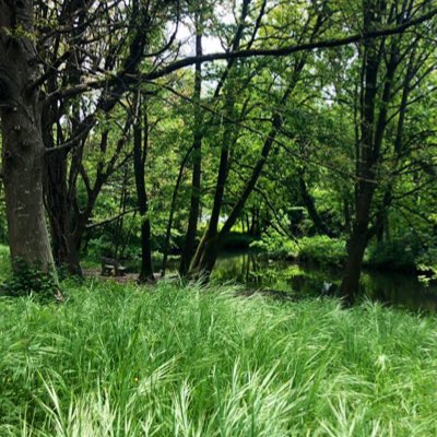 #NouvellePhotoDeProfil