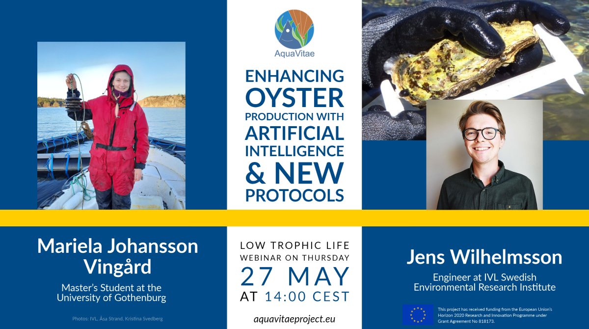 🇪🇺🦪Next week we will learn how the <a href="/IVLSvenskaMiljo/">IVL</a> and <a href="/uniofgothenburg/">Uni of Gothenburg</a> team in <a href="/aquavitaeEU/">AquaVitae</a> work on different collector deployment strategies &amp; #AI to classify #oyster species:

📅 27 May 14h CEST
✒️bit.ly/3hGOPMm

#H2020 #HorizonEurope #allatlantic