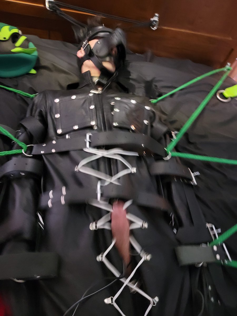 PupSirius's tweet photo. Struggle all you want, I assure you it is tied tight. #helplesspup #pupplay https://t.co/G1jJ3FrIJM