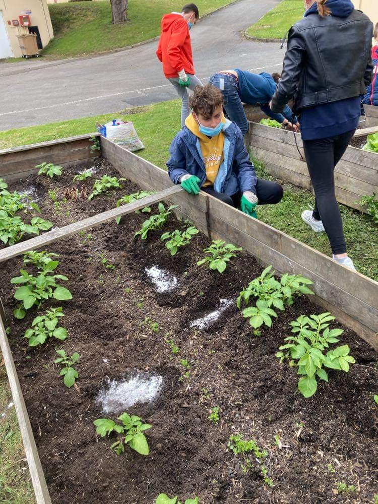 collegecampigny's tweet photo. Planter , semer , pailler et entretenir...Nos élèves continuent leur apprentissage du jardinage #DeveloppementDurable #écopotager @dsden76 @ac_normandie https://t.co/9UA9NJrY1J