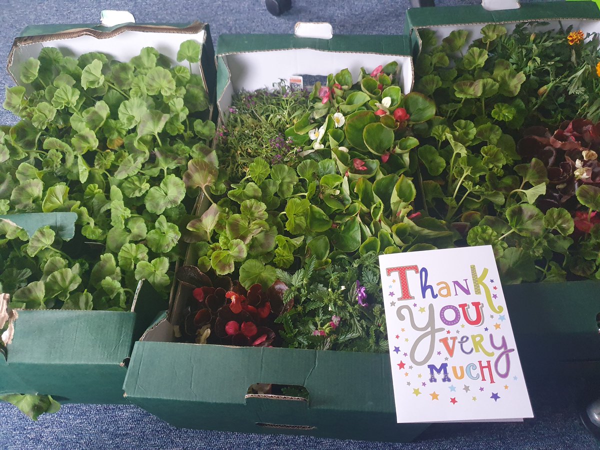 Hospital Home Care @LTHtr (@hhc_lthtr) on Twitter photo What a lovely gesture from one of our patients families to our team.  This has really brightened our day #CaringWithCompassion #WeDoWhatWeCan #WhosGotGreenFingers What a lovely gesture from one of our patients families to our team.  This has really brightened our day #CaringWithCompassion #WeDoWhatWeCan #WhosGotGreenFingers